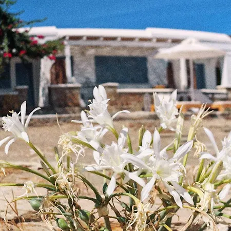 Diana's Luxury Vakantiehuis Kithnos