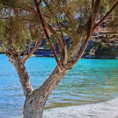 Tatil Evi Diana's Luxury *