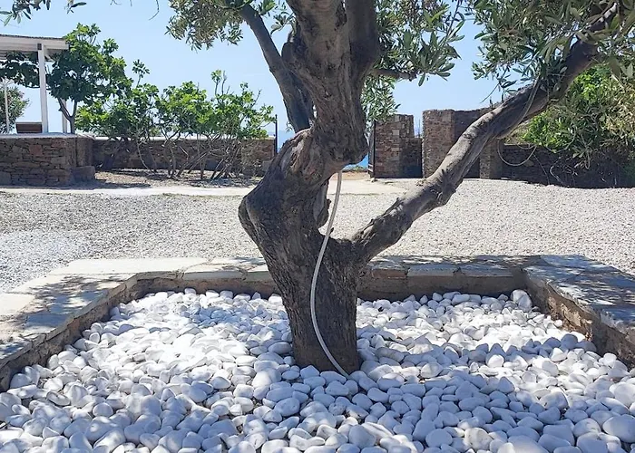 Tatil Evi Diana's Luxury *