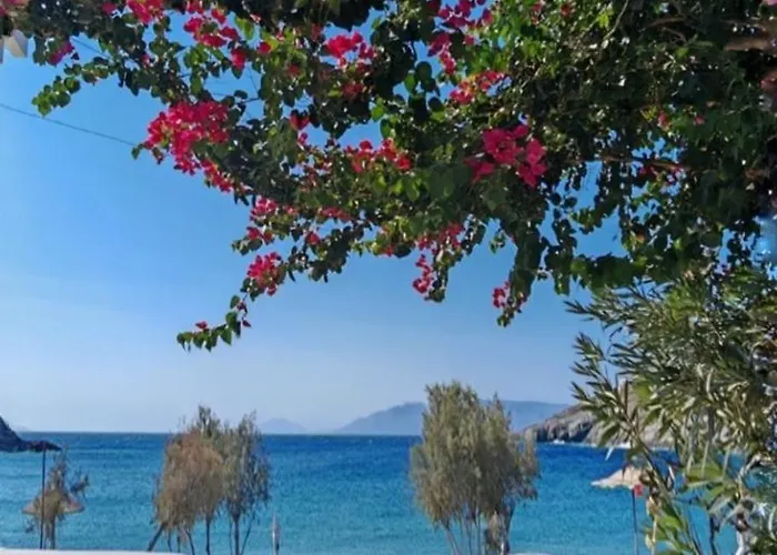 Tatil Evi Diana's Luxury *