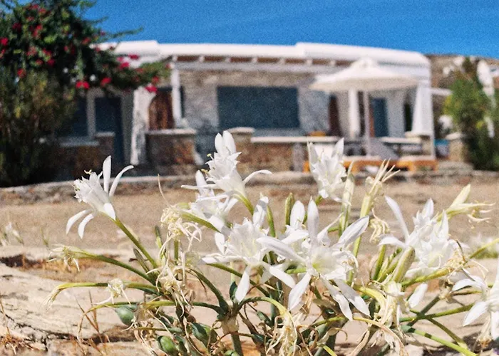 Diana's Luxury Tatil Evi Kythnos