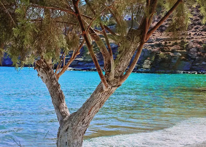 Tatil Evi Diana's Luxury *