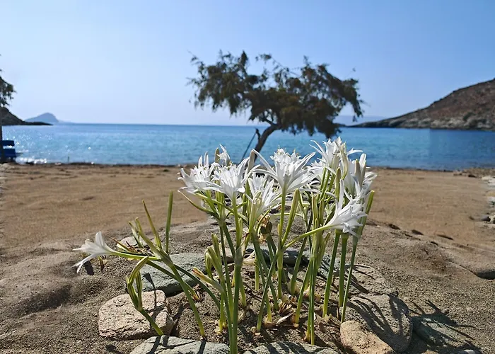 Diana's Luxury Tatil Evi Kythnos