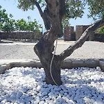 Tatil Evi Diana's Luxury *