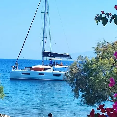 Diana's Luxury *