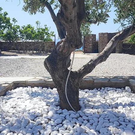 Hébergement de vacances Diana's Luxury *