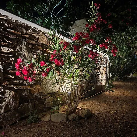 Diana's Luxury Hébergement de vacances