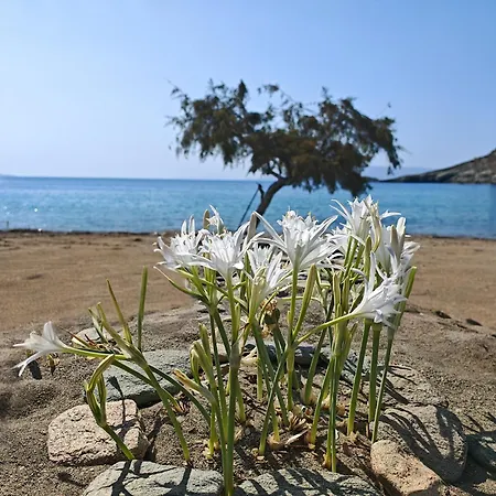 Diana's Luxury Hébergement de vacances Kythnos